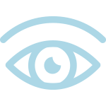 vision-icon